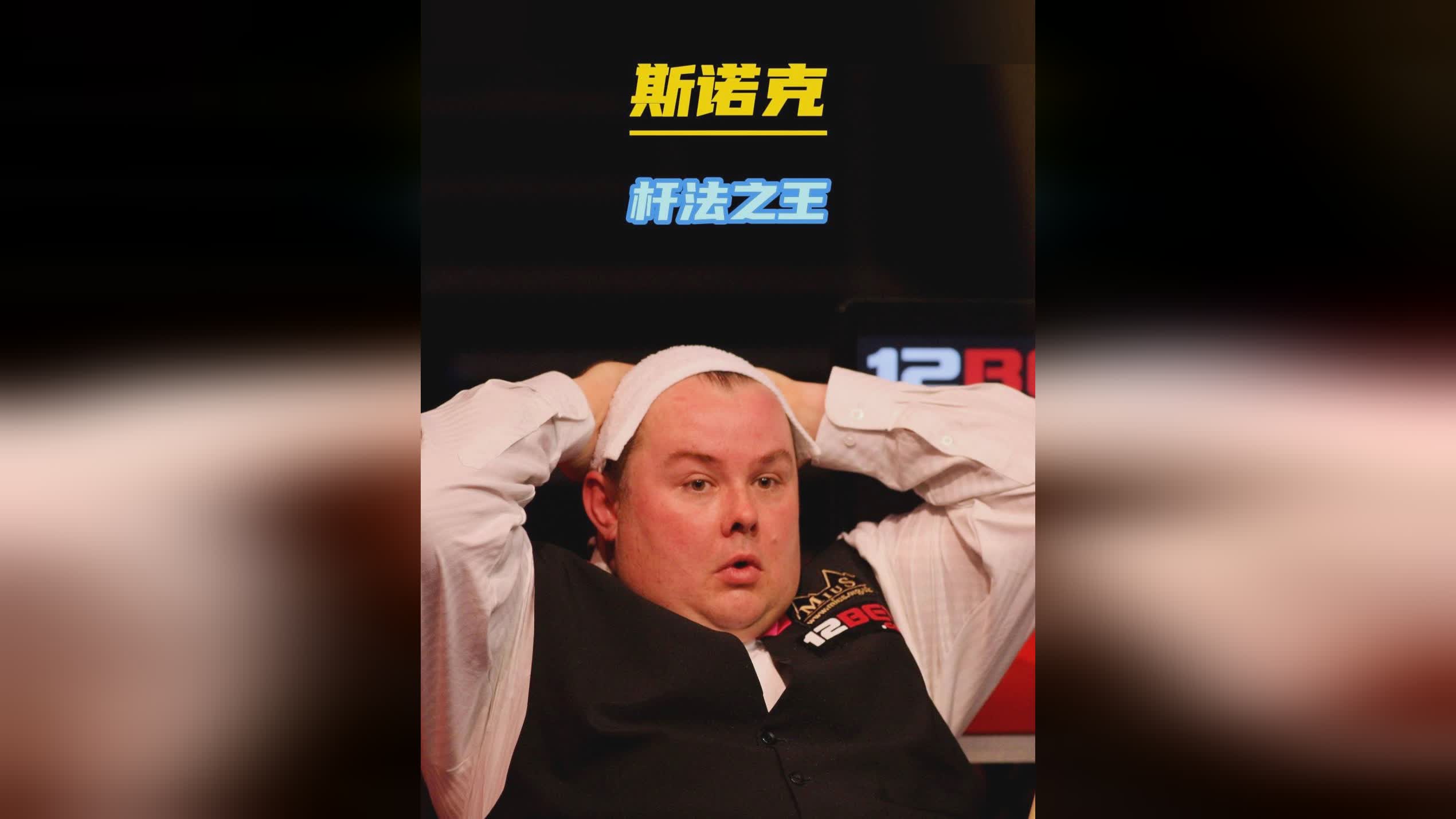 它不仅承担 它不仅承担